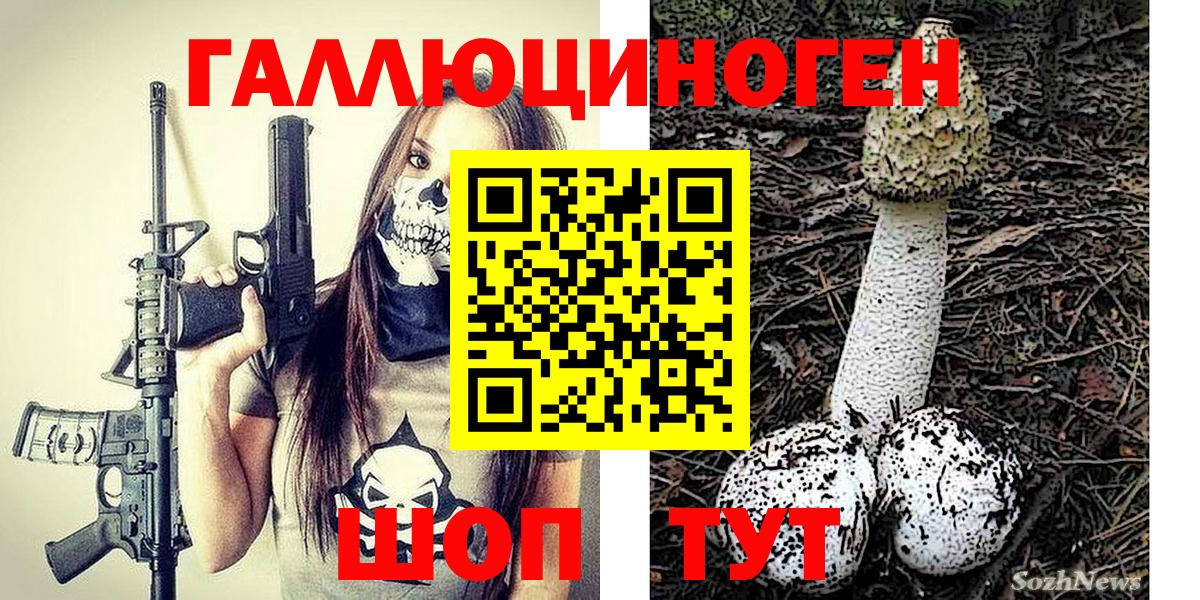 Малоярославец  Псилоцибиновые грибы Psilocybe  купить наркоту  Галлюциногенные грибы Psilocybe  Вход с VPN 